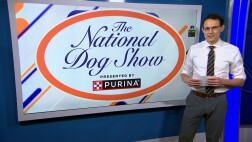 成功案例十一